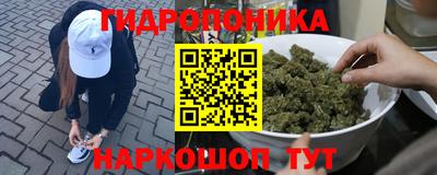 СК Можга