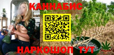 стафф Моздок