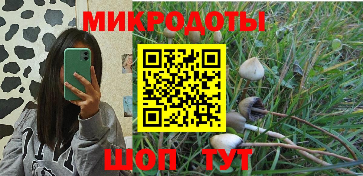 Бугульма  Псилоцибиновые грибы мицелий  Вход с VPN 